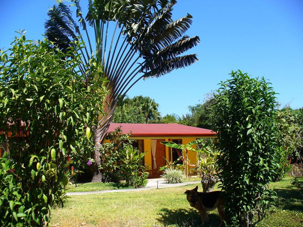 El Paraiso Verde B&B Атенас Номер фото